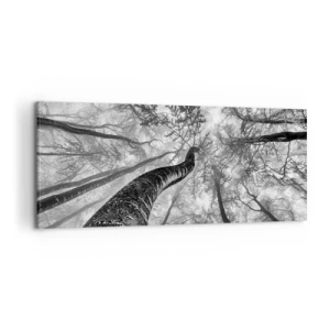 Cuadro sobre lienzo - Impresión de Imagen - Perspectiva de árboles en un bosque vistos desde abajo en tonos de gris. - 120x50cm - Carrera hacia la luz - Decoración de pared moderna para salón y dormitorio ARTTOR