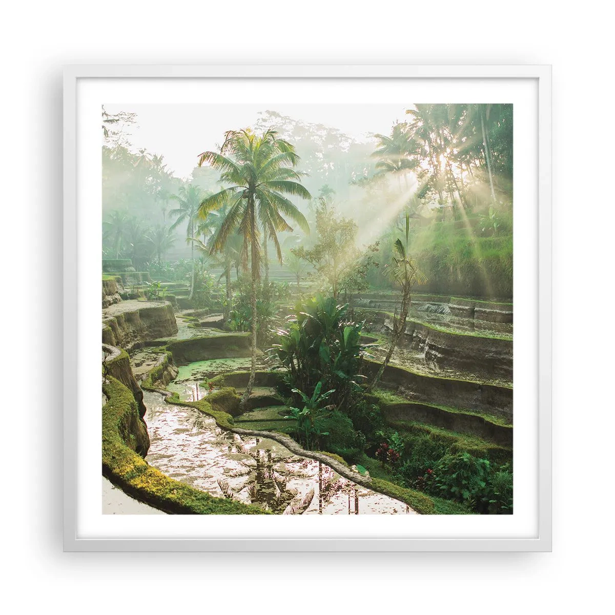 Póster en marco blanco - Crecer bajo el sol - 60x60 cm