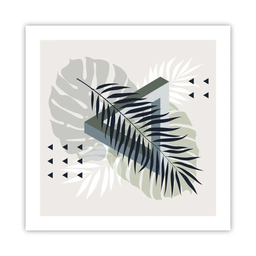 Póster - Naturaleza y geometría - 50x50 cm