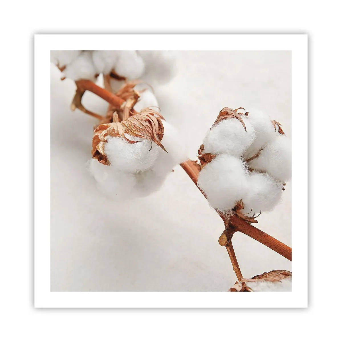 Póster - Un suave tacto - 60x60 cm