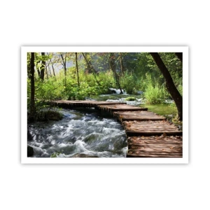 Póster - Un puente de madera sobre un arroyo caudaloso rodeado por el verdor del bosque. - 100x70cm - Sobre una cascada de espuma - Decoración de pared moderna para salón y dormitorio ARTTOR