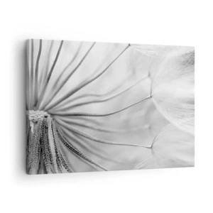 Cuadro sobre lienzo - Impresión de Imagen - Delicados dientes de león en tonos blanco y negro. - 70x50cm - Caricias del viento - Decoración de pared moderna para salón y dormitorio ARTTOR