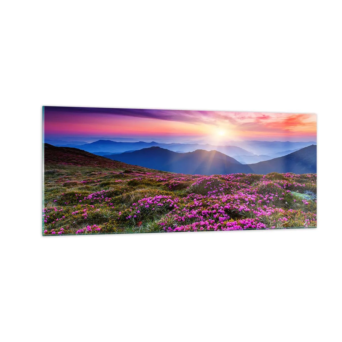 Cuadro sobre vidrio - Impresiones sobre Vidrio - Dulce aroma a frescura - 100x40 cm