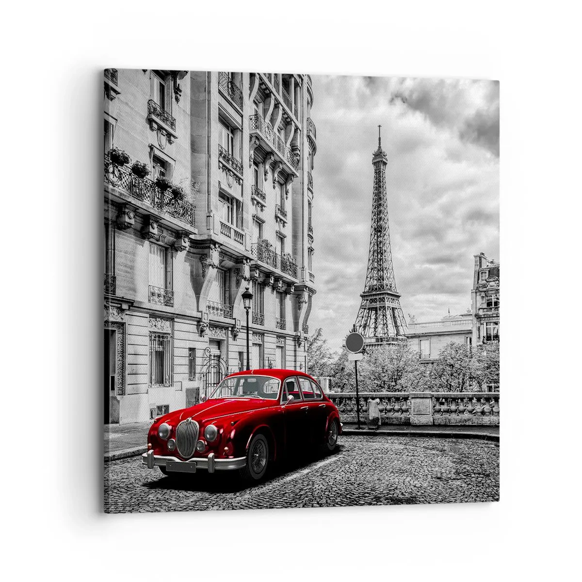 Cuadro sobre lienzo - Impresión de Imagen - Un depredador en la ciudad - 70x70 cm