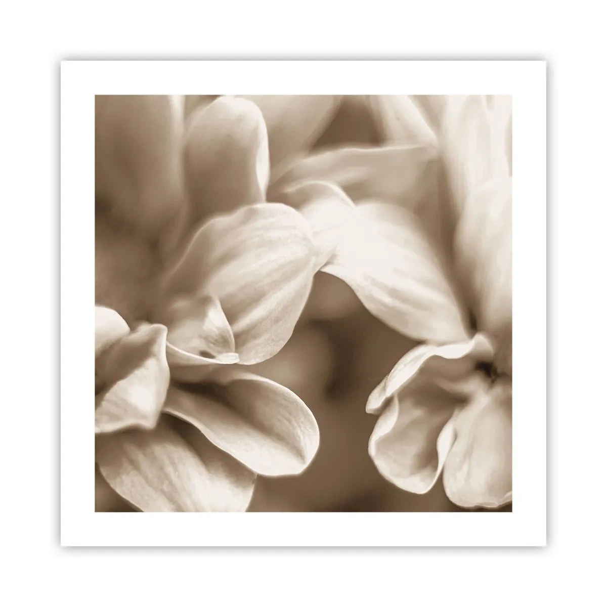 Póster - Suave como una sonrisa - 50x50 cm