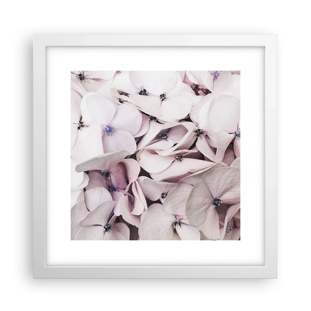 Póster en marco blanco - En un torrente de flores - 30x30 cm