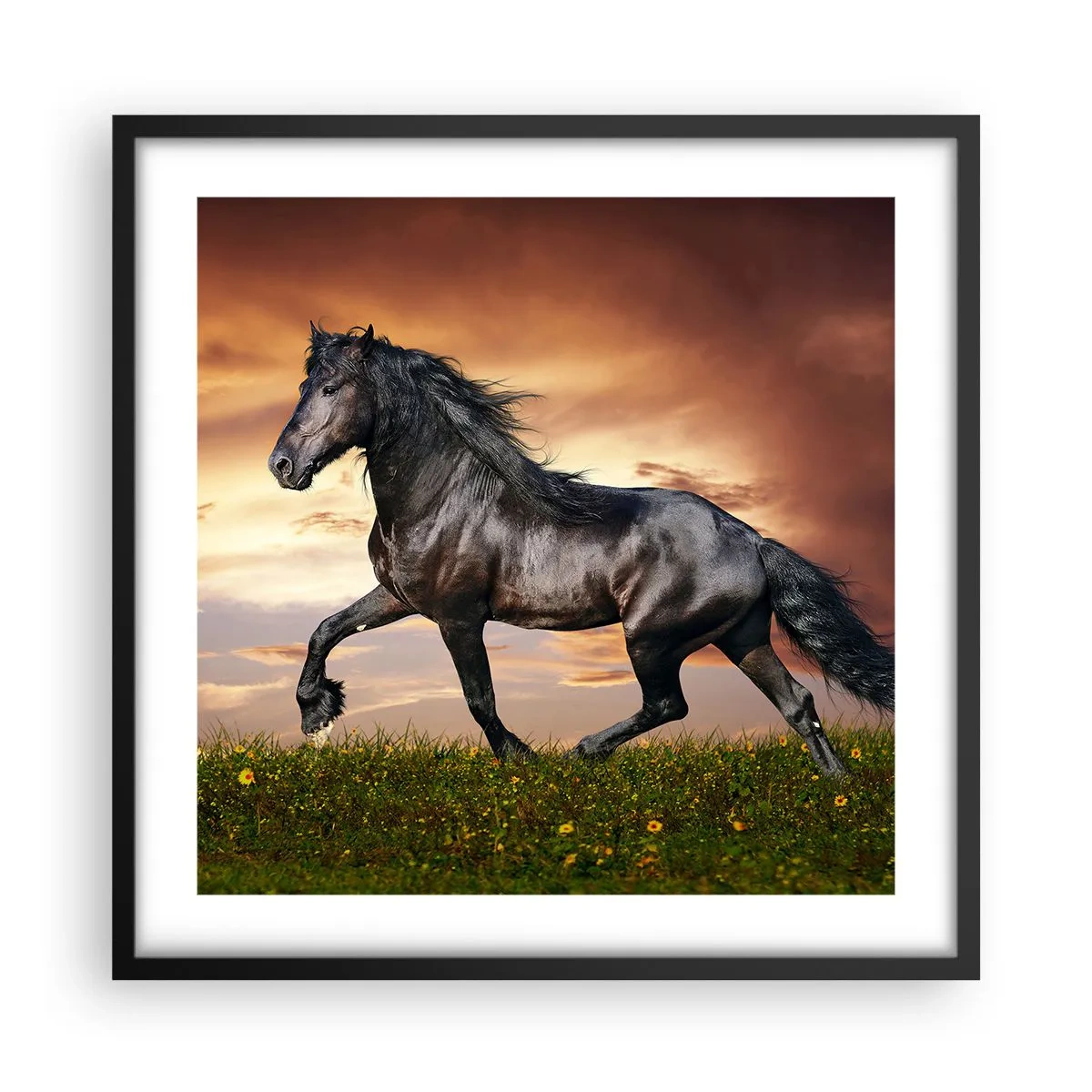 Póster en marco negro - Príncipe negro - 50x50 cm