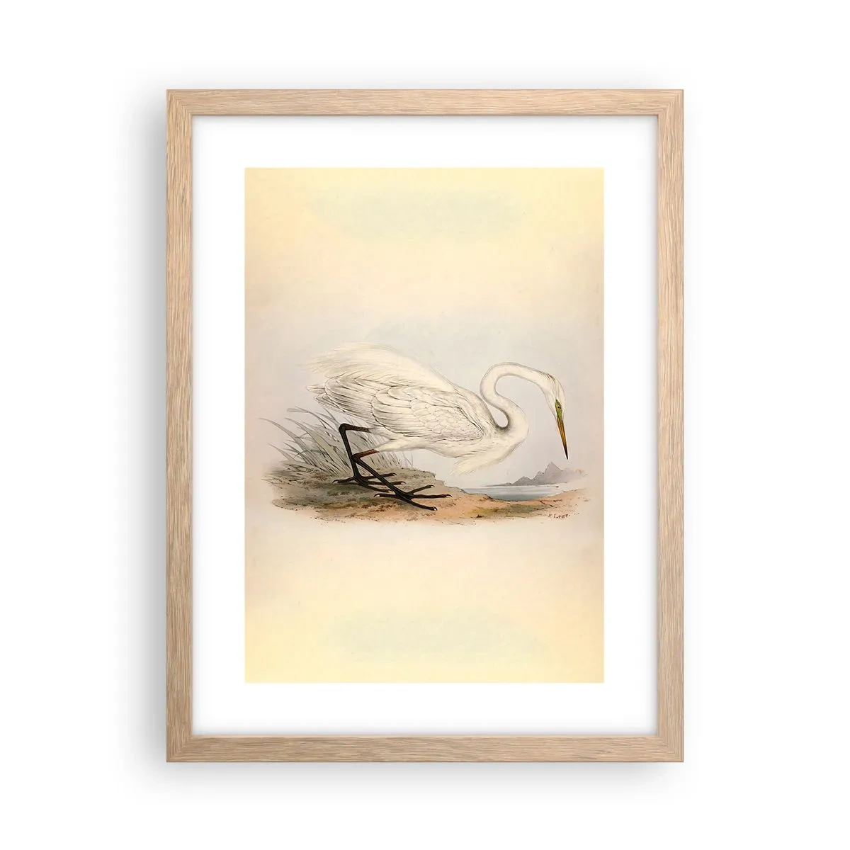 Póster en marco roble claro - Dama de los juncos - 30x40 cm