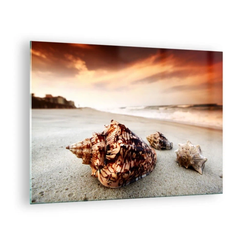 Cuadro sobre vidrio - Impresiones sobre Vidrio - Conchas en la playa al atardecer - 70x50cm - Los exiliados de las olas - Decoración de pared moderna para salón y dormitorio ARTTOR