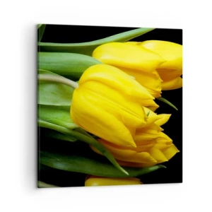 Cuadro sobre lienzo - Impresión de Imagen - Resucitado de puro sol - 50x50 cm