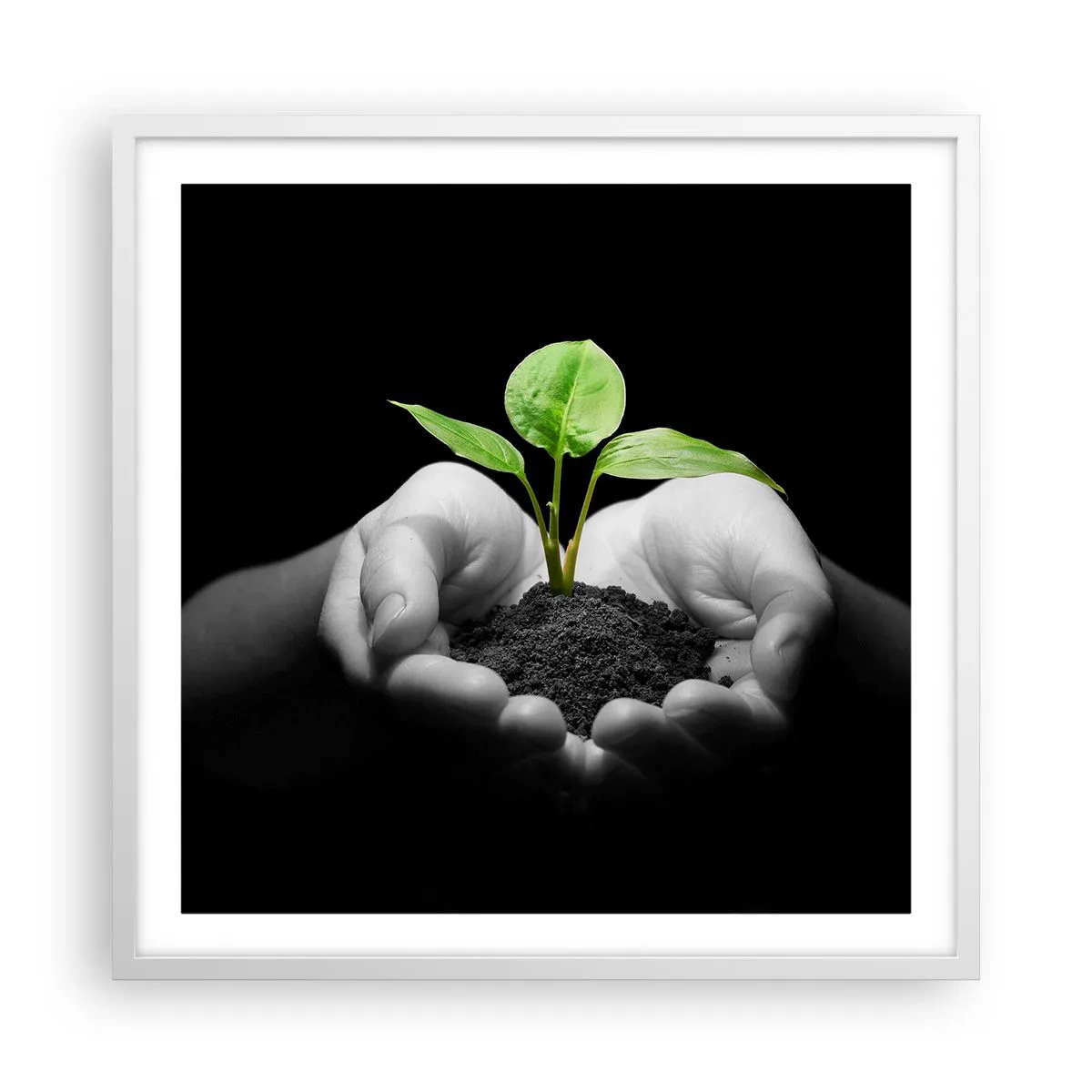 Póster en marco blanco - Amo la naturaleza, la protejo - 60x60 cm