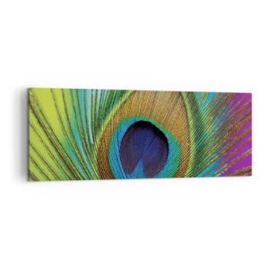 Cuadro sobre lienzo - Impresión de Imagen - Primer plano de una pluma de pavo real con colores vivos. - 140x50cm - Cara a cara - Decoración de pared moderna para salón y dormitorio ARTTOR