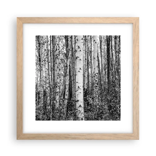 Póster en marco roble claro - Columnas de abedules - 30x30 cm
