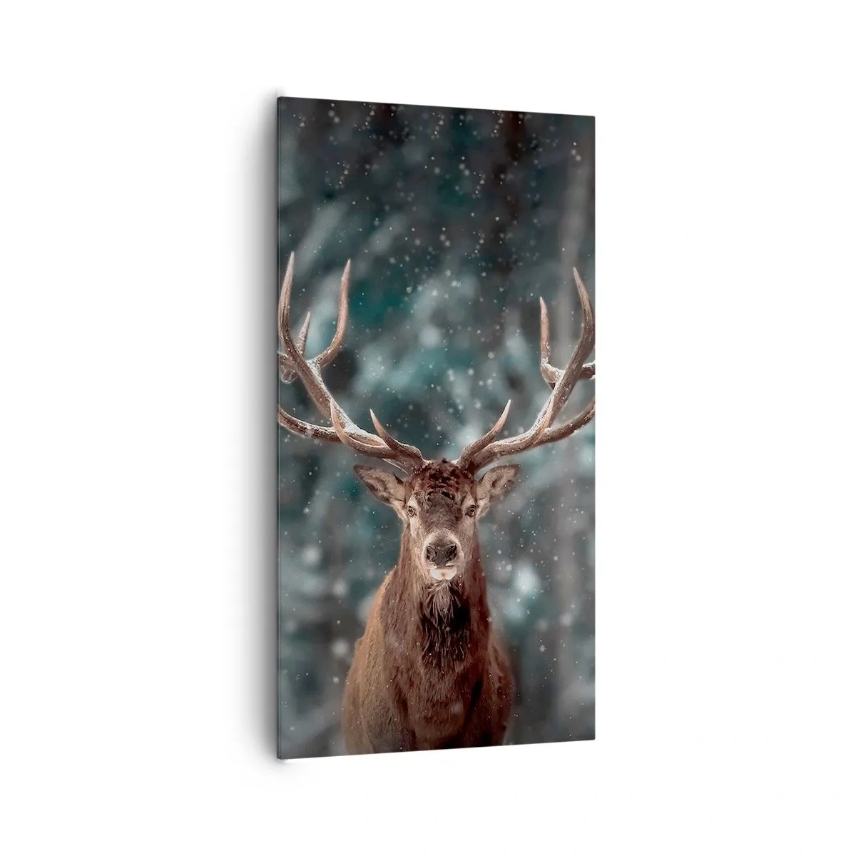 Cuadro sobre lienzo - Impresión de Imagen - Coronado rey del bosque - 65x120 cm