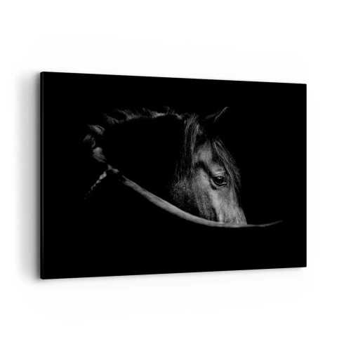 Cuadro sobre lienzo - Impresión de Imagen - Un retrato en blanco y negro de un caballo con un sutil juego de luces y sombras sobre un fondo oscuro. - 100x70cm - Príncipe negro - Decoración de pared moderna para salón y dormitorio ARTTOR