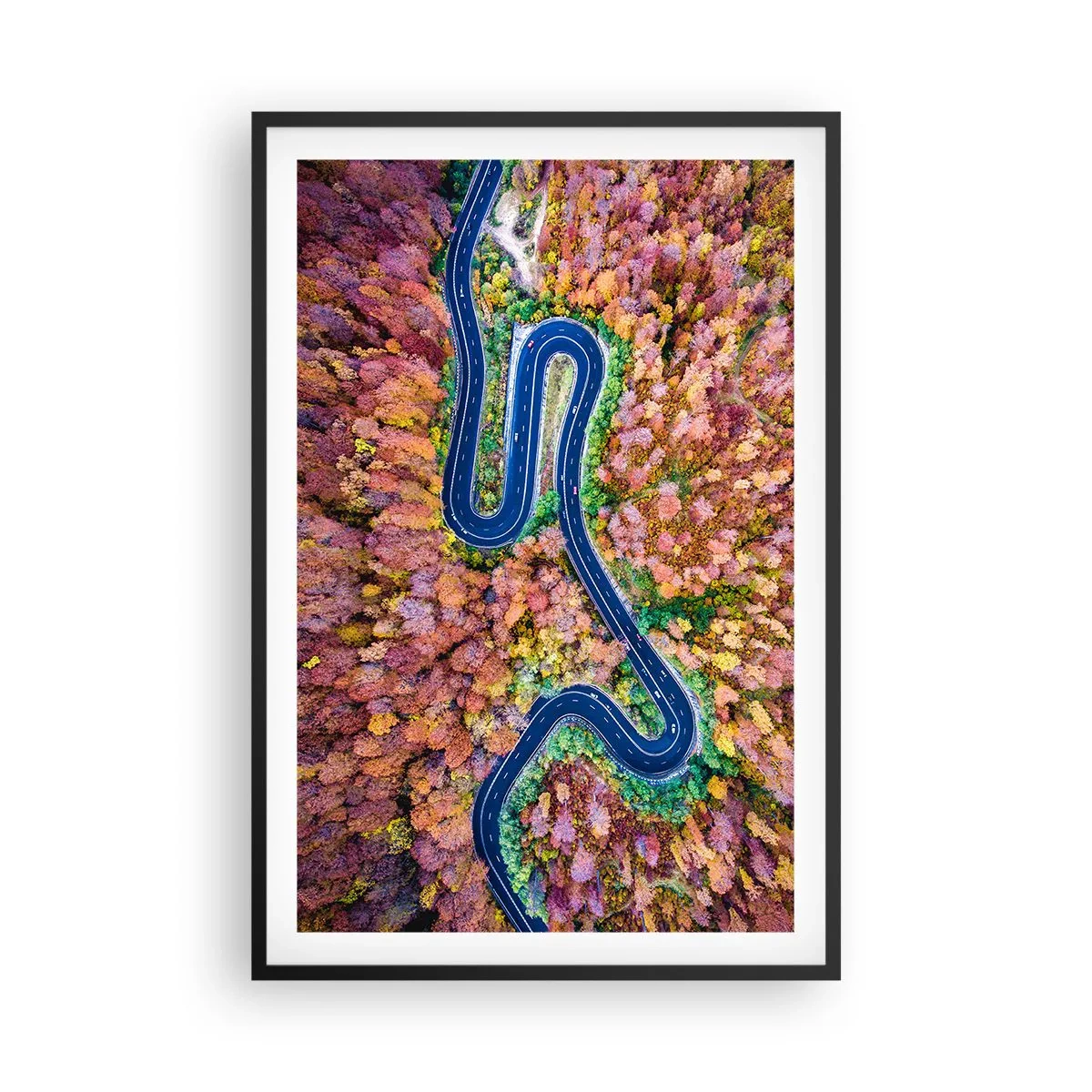 Póster en marco negro - Un camino sinuoso a través del bosque - 61x91 cm
