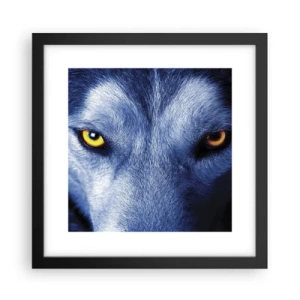 Póster en marco negro - La mirada hipnótica - 30x30 cm
