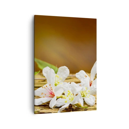 Cuadro sobre lienzo - Impresión de Imagen - Flores blancas sobre un fondo de madera con luz natural. - 50x70cm - Una promesa inocente - Decoración de pared moderna para salón y dormitorio ARTTOR