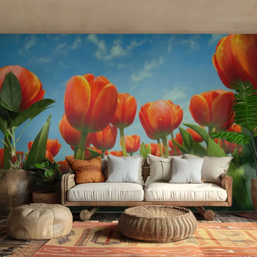 Fotomural Autadhesivo Deluxe Sticker - Excepto el cielo azul no necesitan nada en la vida - flores, tulipanes, Naturaleza - 300x210 cm