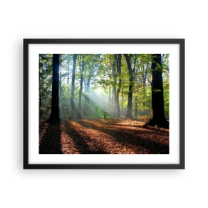 Póster en marco negro - Resplandores y sombras - 50x40 cm