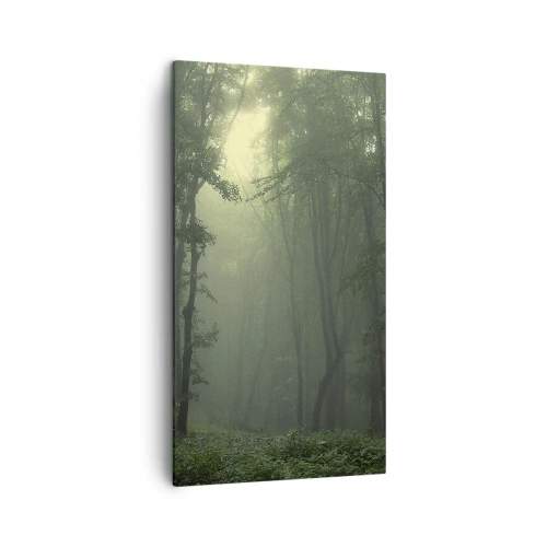 Cuadro sobre lienzo - Impresión de Imagen - Antes de que se despierte el bosque - 45x80 cm