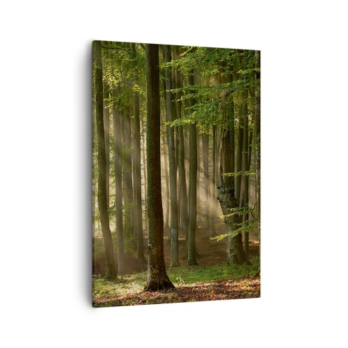 Cuadro sobre lienzo - Impresión de Imagen - Los rayos del sol penetran a través de los árboles en el bosque. - 50x70cm - Radiante en una mañana de primavera - Decoración de pared moderna para salón y dormitorio ARTTOR