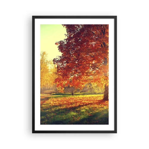 Póster en marco negro - Parque otoñal con un árbol con hojas doradas al sol. - 50x70cm - El rojo es hermoso - Decoración de pared moderna para salón y dormitorio ARTTOR