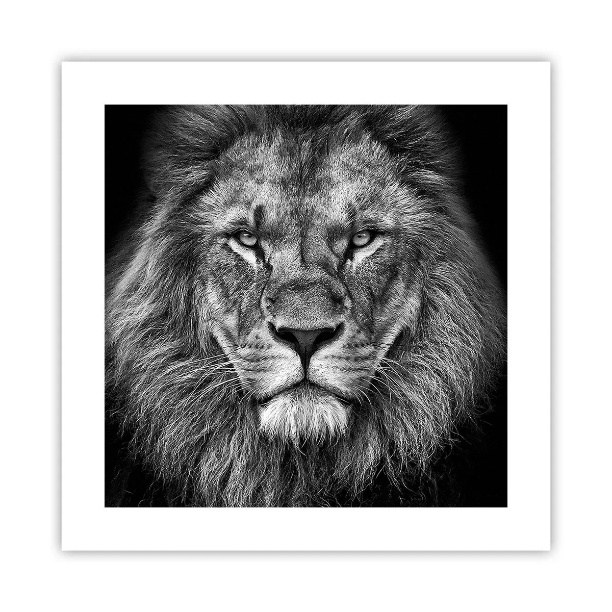 Póster - Con el atuendo de la coronación - 40x40 cm