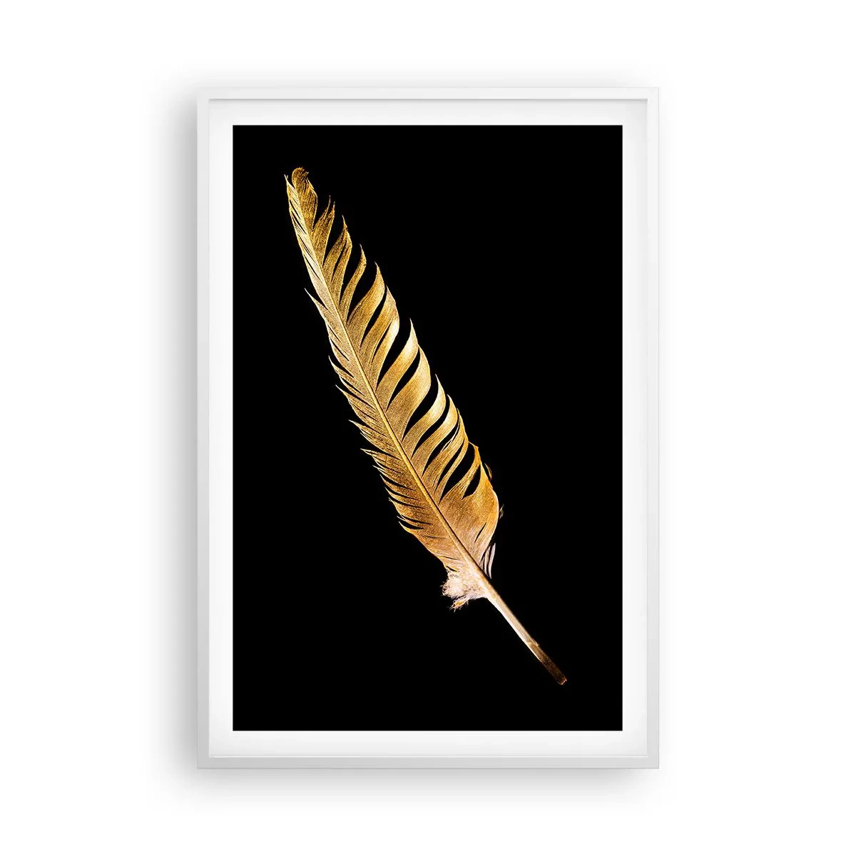 Póster en marco blanco - Pluma de alta calidad - 61x91 cm