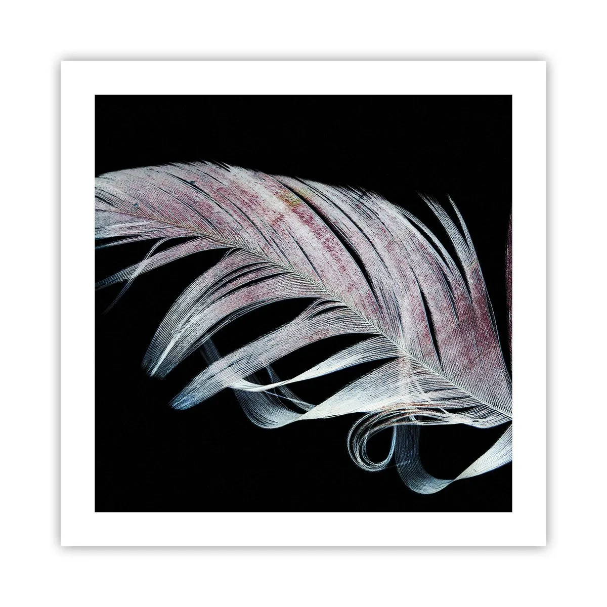 Póster - Piensa en el tacto - 50x50 cm