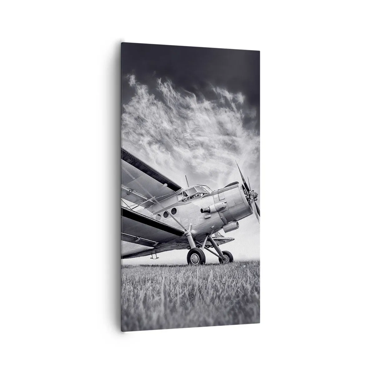 Cuadro sobre lienzo - Impresión de Imagen - El vagamundo alado - 65x120 cm