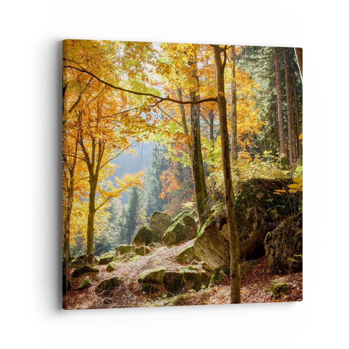 Cuadro sobre lienzo - Impresión de Imagen - Tiempo de descanso - 40x40 cm