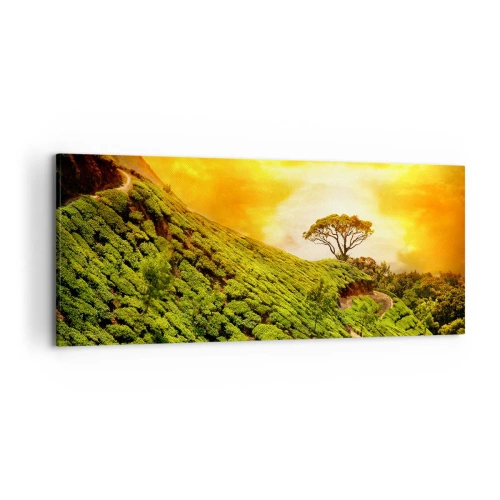 Cuadro sobre lienzo - Impresión de Imagen - Colinas verdes de plantaciones de té al atardecer - 120x50cm - Por un camino sinuoso, por una verde pendiente - Decoración de pared moderna para salón y dormitorio ARTTOR