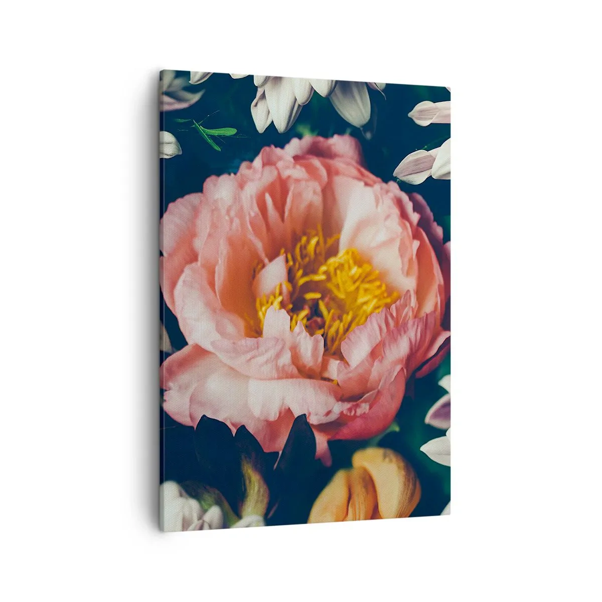 Cuadro sobre lienzo - Impresión de Imagen - Arreglo floral con peonías y crisantemos sobre fondo oscuro. - 50x70cm - Con esplendor barroco - Decoración de pared moderna para salón y dormitorio ARTTOR