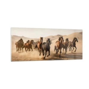 Cuadro sobre vidrio - Impresiones sobre Vidrio - Libre como el viento - 100x40 cm