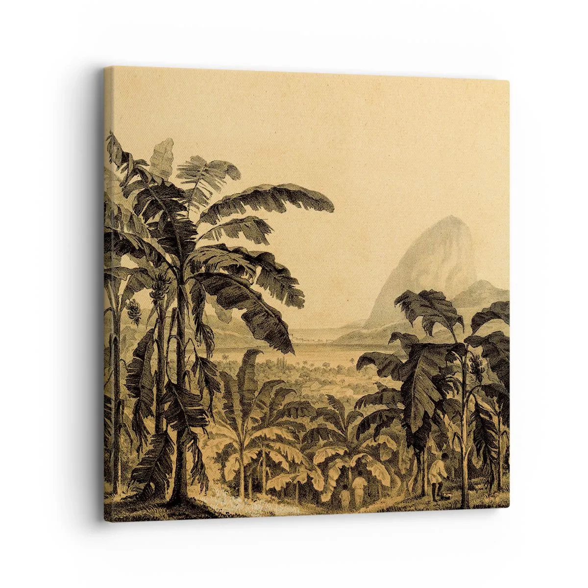 Cuadro sobre lienzo - Impresión de Imagen - En un ambiente colonial - 30x30 cm