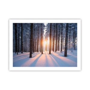 Póster - Claramente en blanco y negro - 70x50 cm