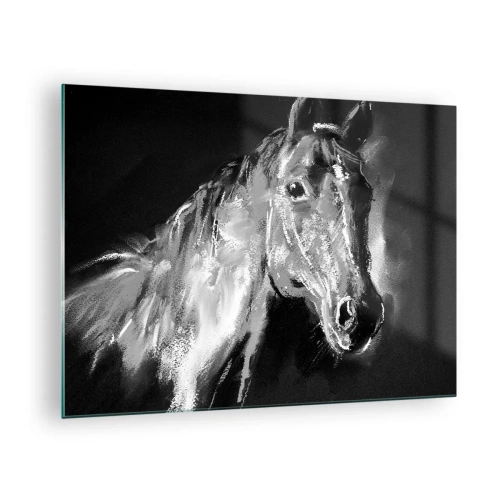 Cuadro sobre vidrio - Impresiones sobre Vidrio - Retrato de un caballo en tonos blanco y negro sobre un fondo oscuro. - 70x50cm - El brillo de un alma noble - Decoración de pared moderna para salón y dormitorio ARTTOR