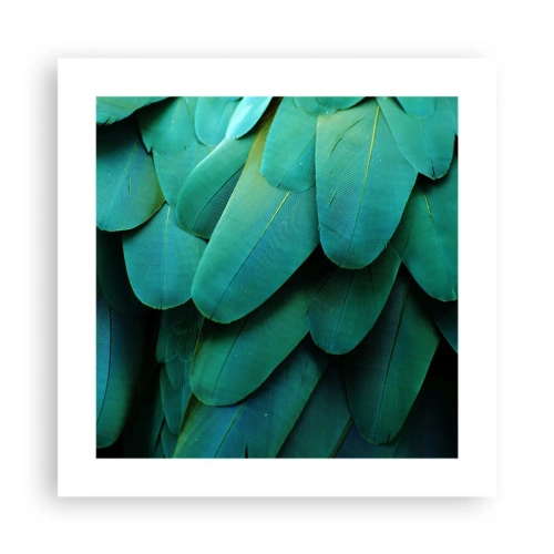 Póster - La precisión de la naturaleza - 40x40 cm
