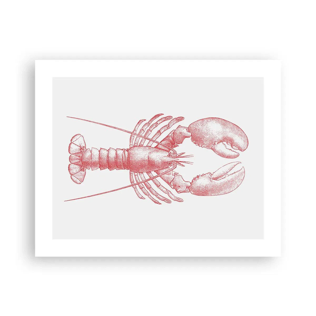 Póster - La reina de los fondos rocosos - 50x40 cm