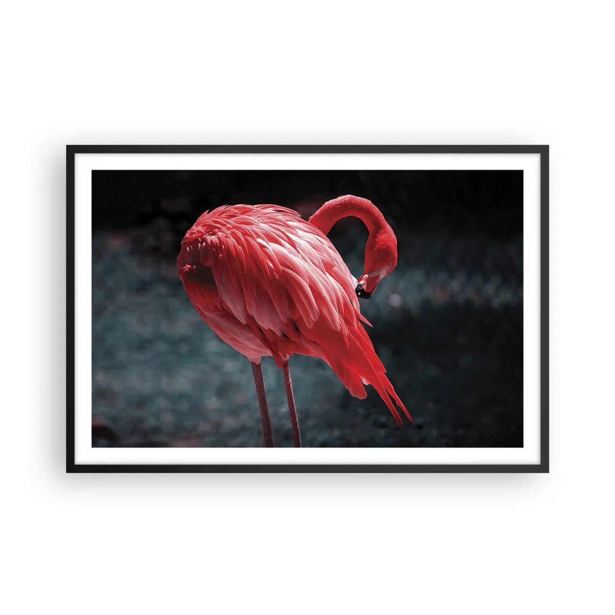 Póster en marco negro - Un poema carmesí de la naturaleza - 91x61 cm
