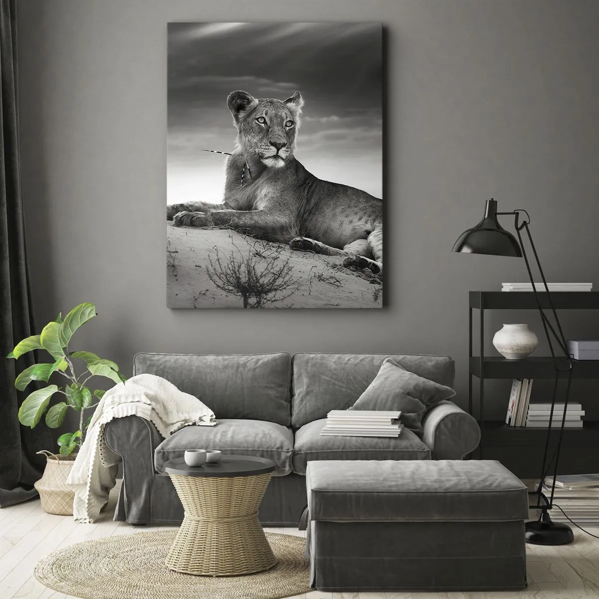 Cuadro sobre lienzo - Impresión de Imagen - Retrato en blanco y negro de una leona en la sabana. - 70x100cm - Descanso de la reina del desierto - Decoración de pared moderna para salón y dormitorio ARTTOR