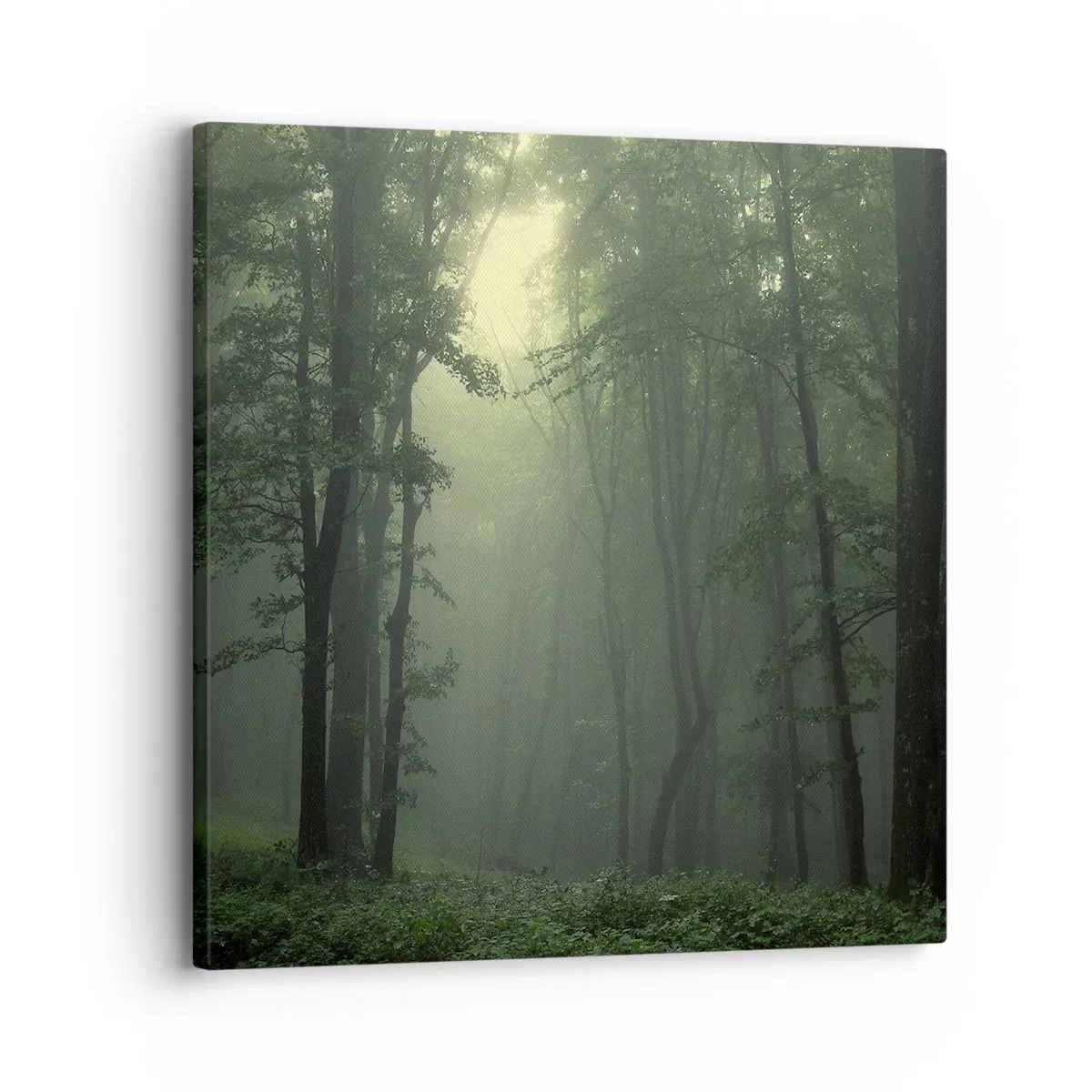 Cuadro sobre lienzo - Impresión de Imagen - Antes de que se despierte el bosque - 30x30 cm