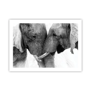 Póster - Una confesión sincera - 70x50 cm