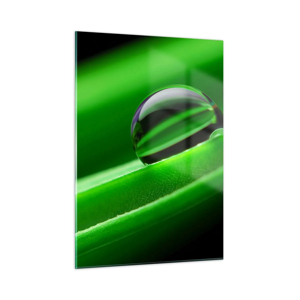Cuadro sobre vidrio - Impresiones sobre Vidrio - Una gota de rocío sobre una hoja verde. - 50x70cm - La vida de cerca - Decoración de pared moderna para salón y dormitorio ARTTOR