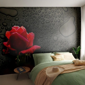 Fotomural Standard Eco - Rojo y negro - flores, Rosa, Agua - 500x350 cm