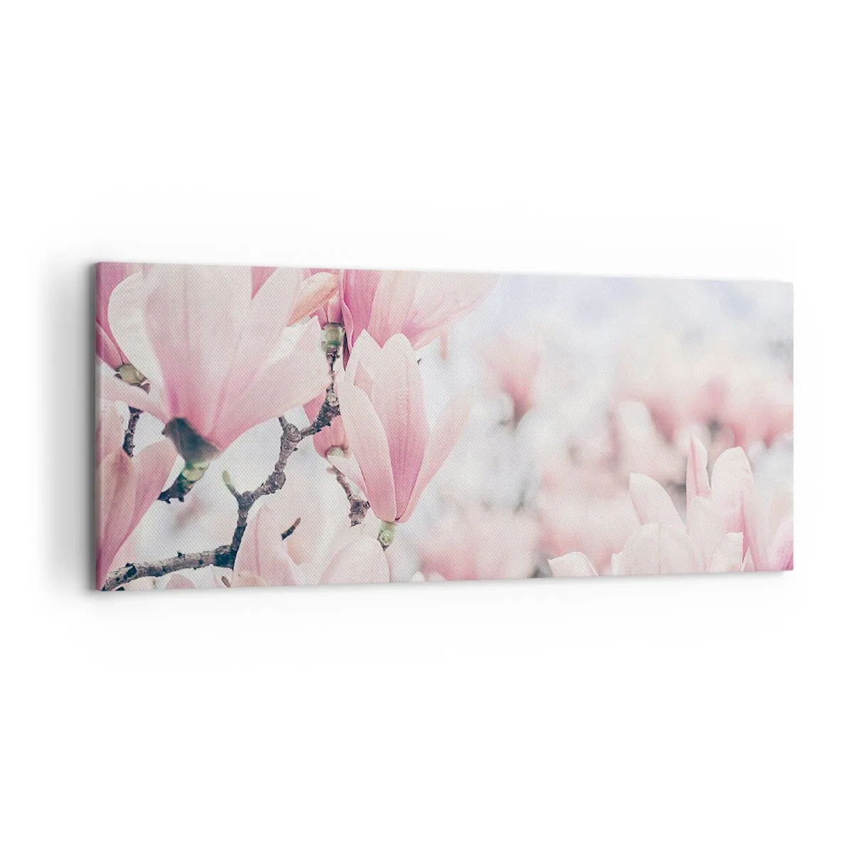 Cuadro sobre lienzo - Impresión de Imagen - Sutiles flores de magnolia en delicados tonos rosados. - 120x50cm - La perfección de la sutileza - Decoración de pared moderna para salón y dormitorio ARTTOR