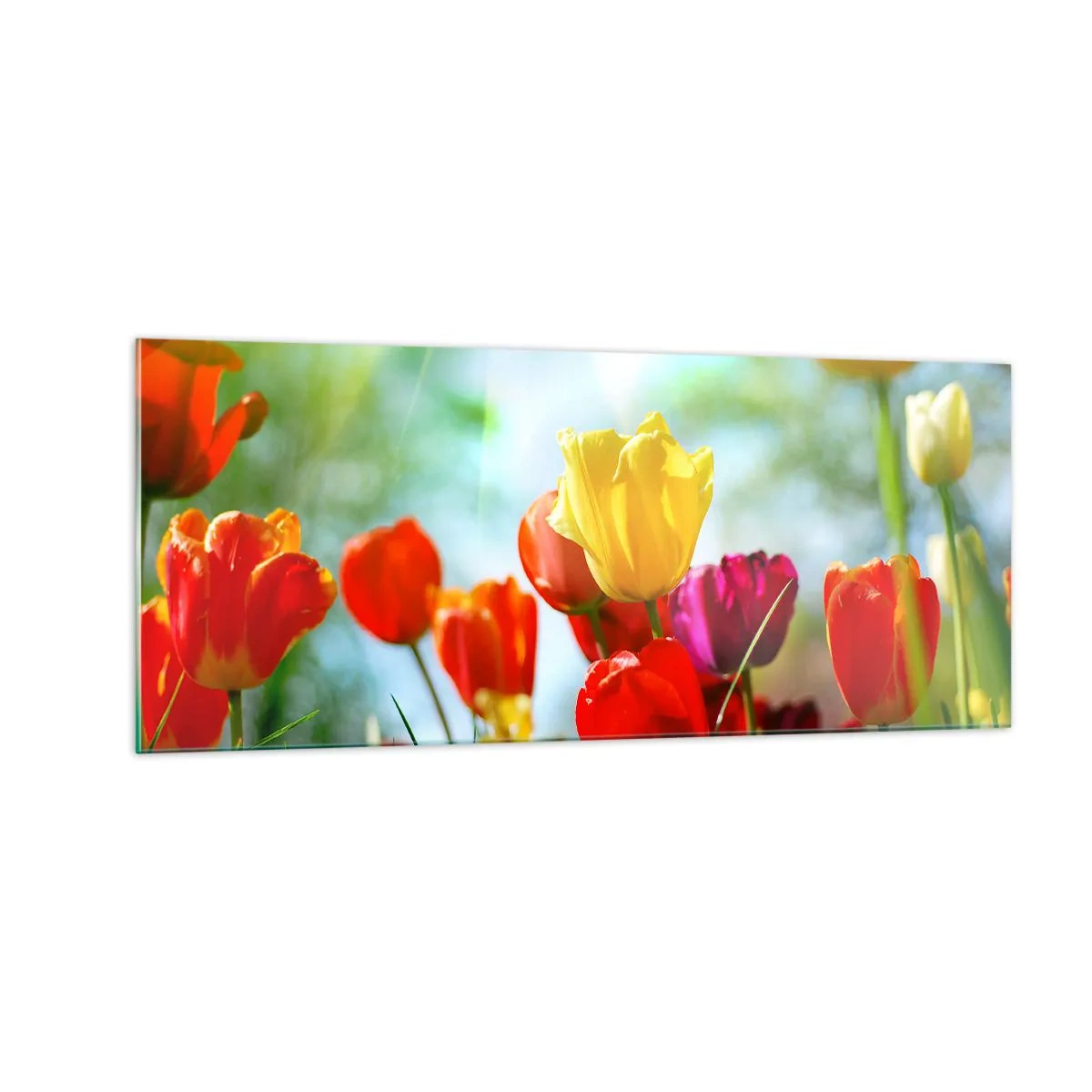 Cuadro sobre vidrio - Impresiones sobre Vidrio - Todos los tonos del sol - 100x40 cm
