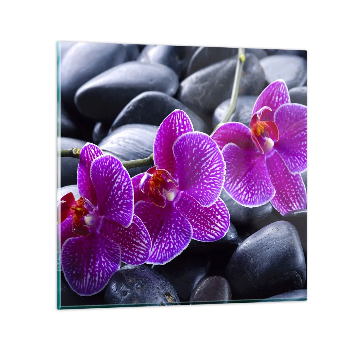Cuadro sobre vidrio - Impresiones sobre Vidrio - Las piedras brillan con deleite - 30x30 cm