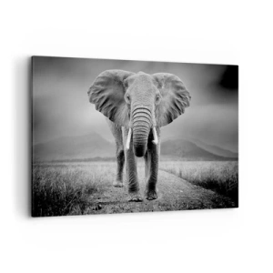 Cuadro sobre lienzo - Impresión de Imagen - Un poderoso elefante en la sabana en tonos monocromáticos. - 120x80cm - El anfitrión da la bienvenida - Decoración de pared moderna para salón y dormitorio ARTTOR